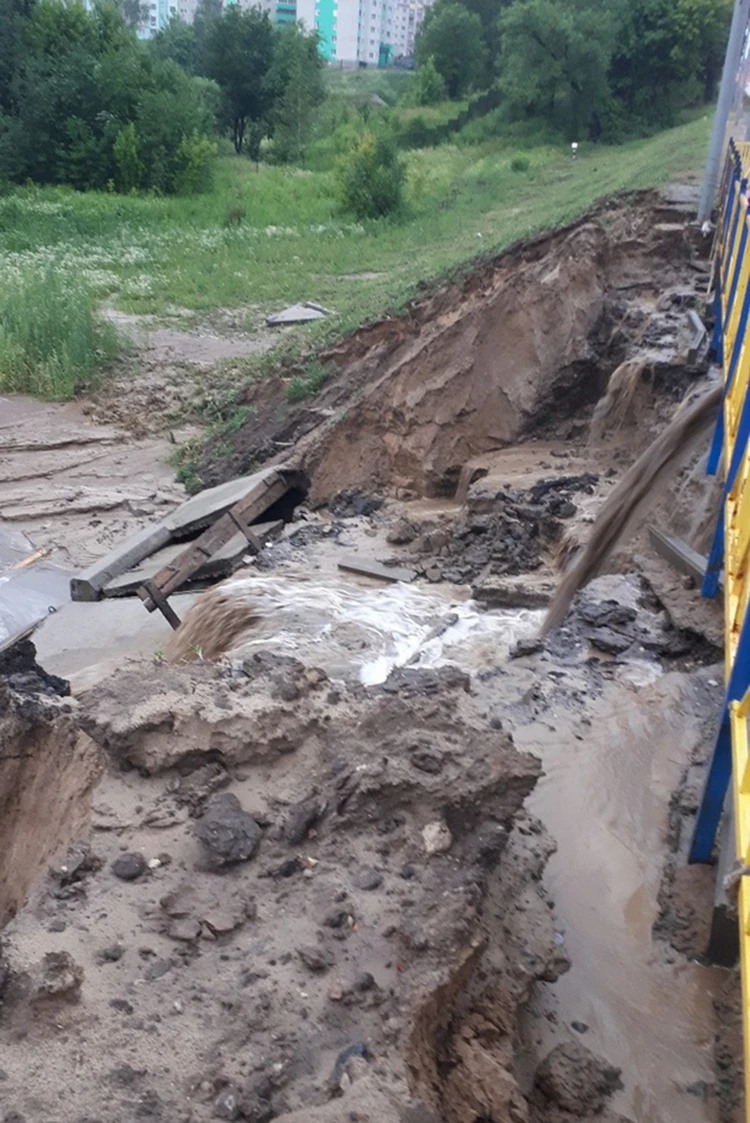 На Брянскую область обрушился мощный ливень с градом - KP.RU