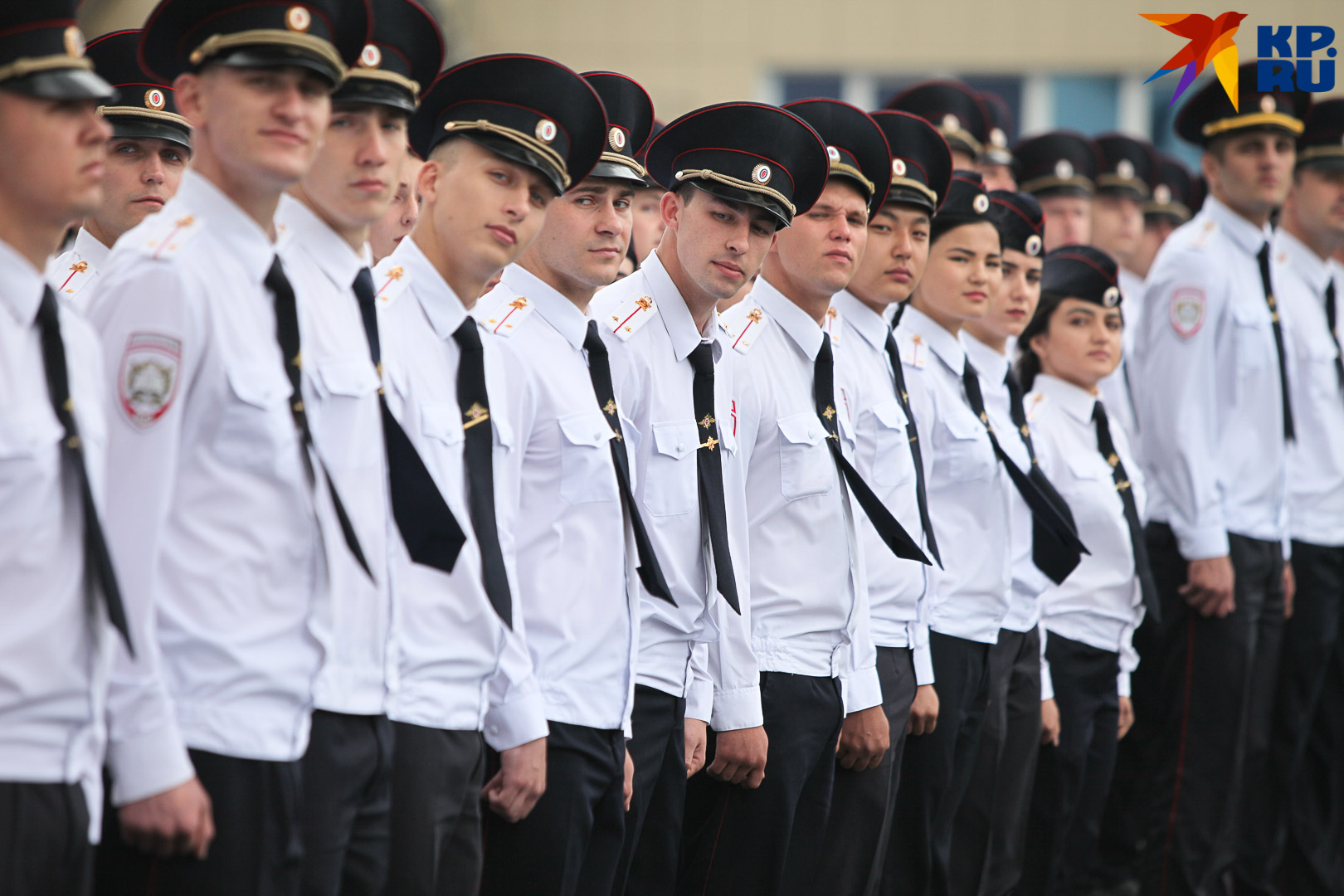 Выпуск мвд 2019