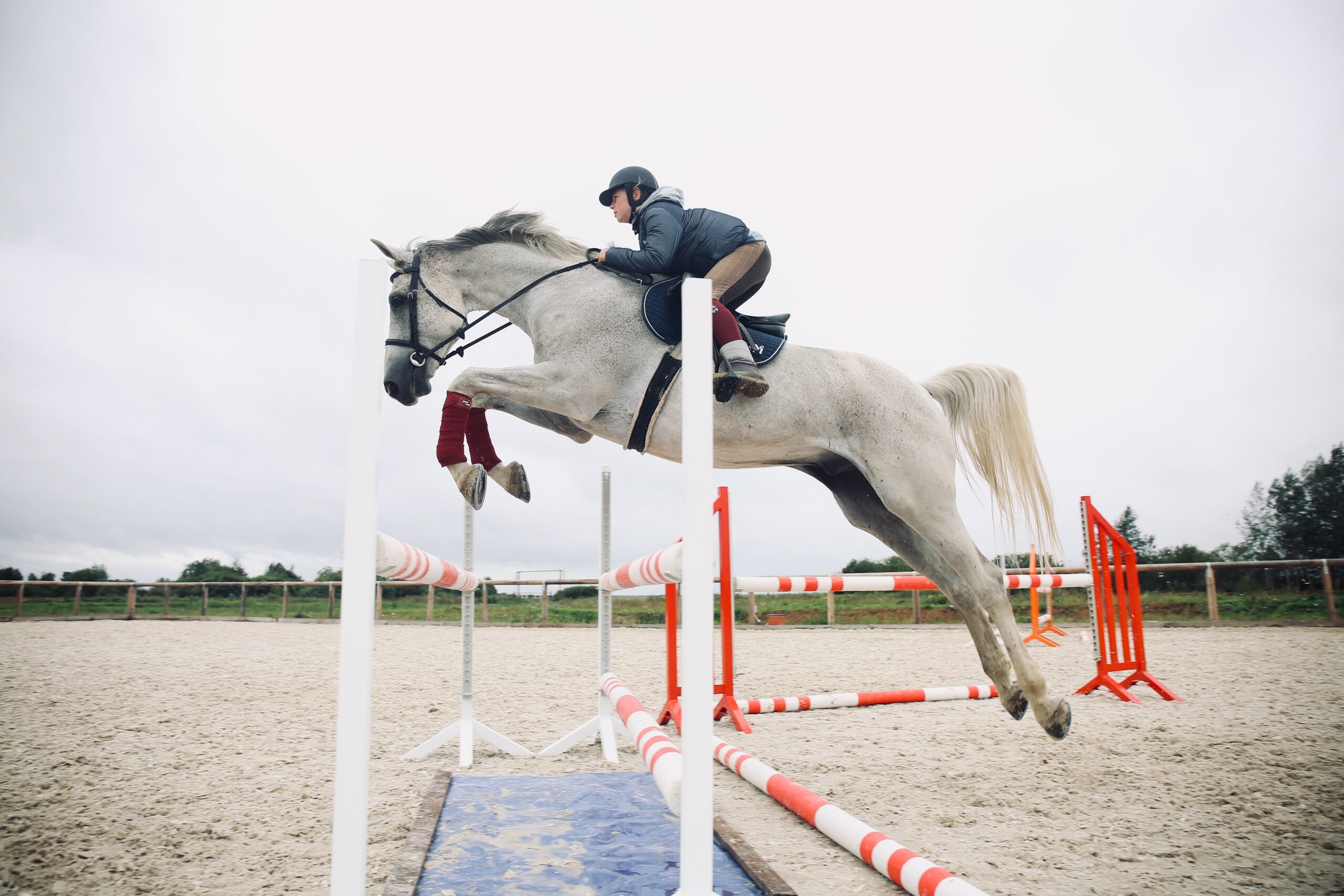 вереница владимирская область. конная прогулка во владимире. конно-спортивный оздоровительный центр «свобода». вереница владимирская область. история владимирской области.