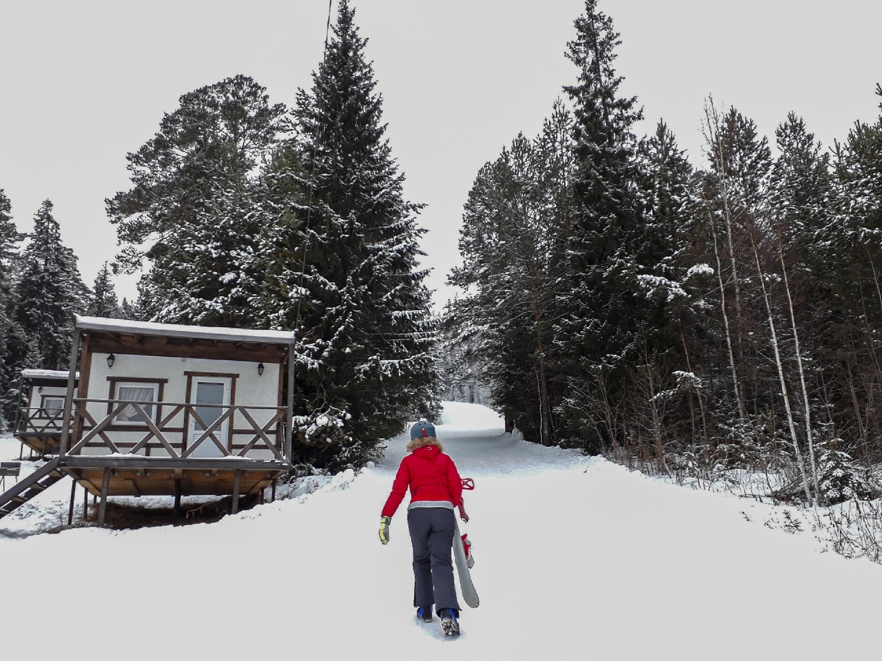 Гора Пильная, за исключением вершины, полностью покрыта лесом.