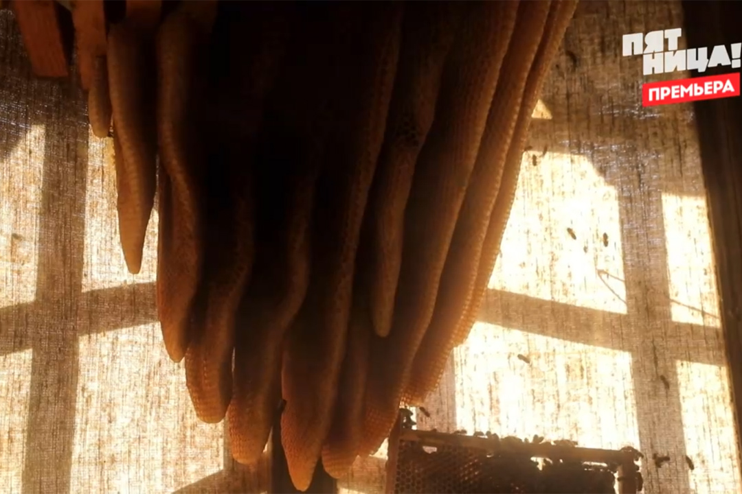 Выпуск "Орел и решка на Алтае"