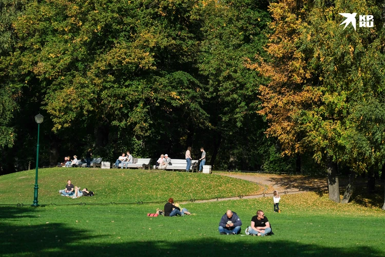 Парки и зоны отдыха: зачем ехать в мае в Петербург | Статьи | Известия