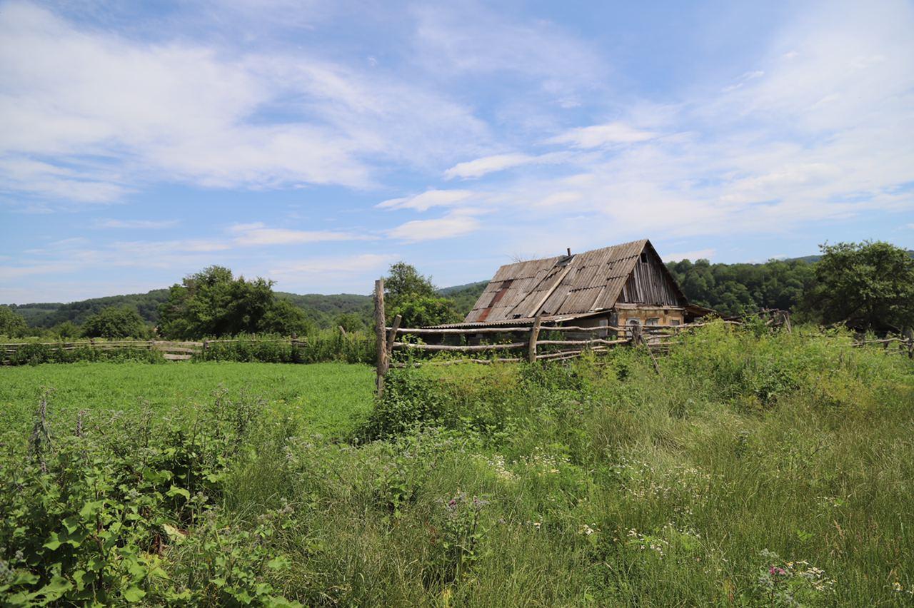 Кубанский хутор. Хутор Тегинь Краснодарский край.