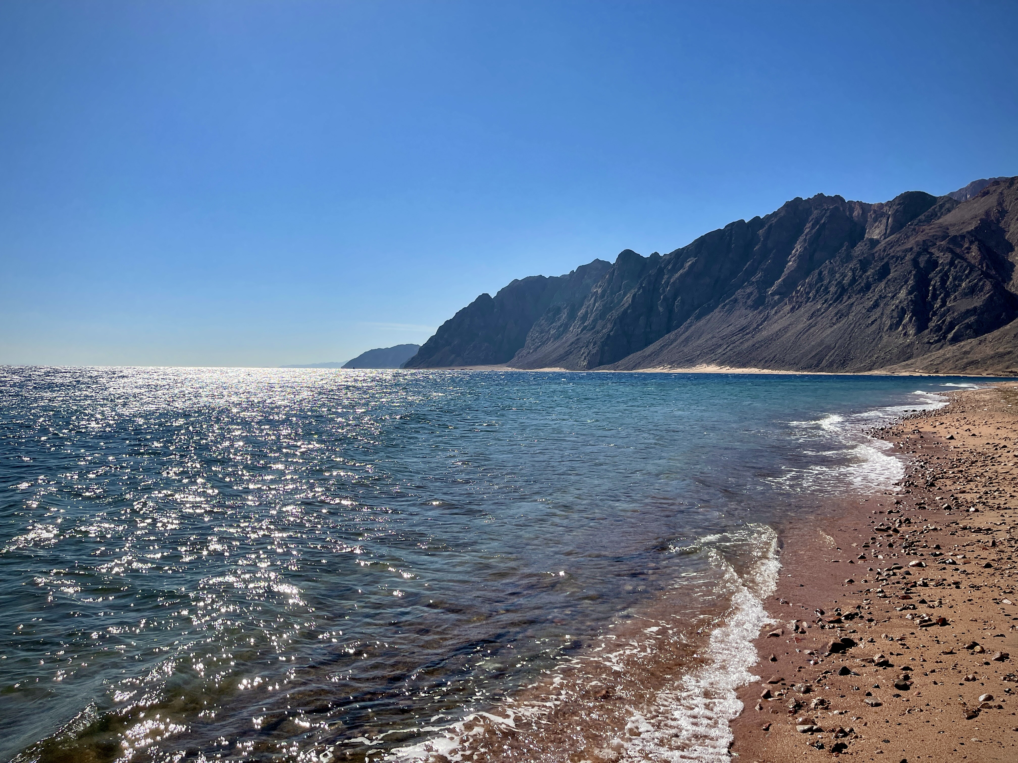 Красотища египесткая.