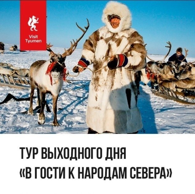 Культура севера