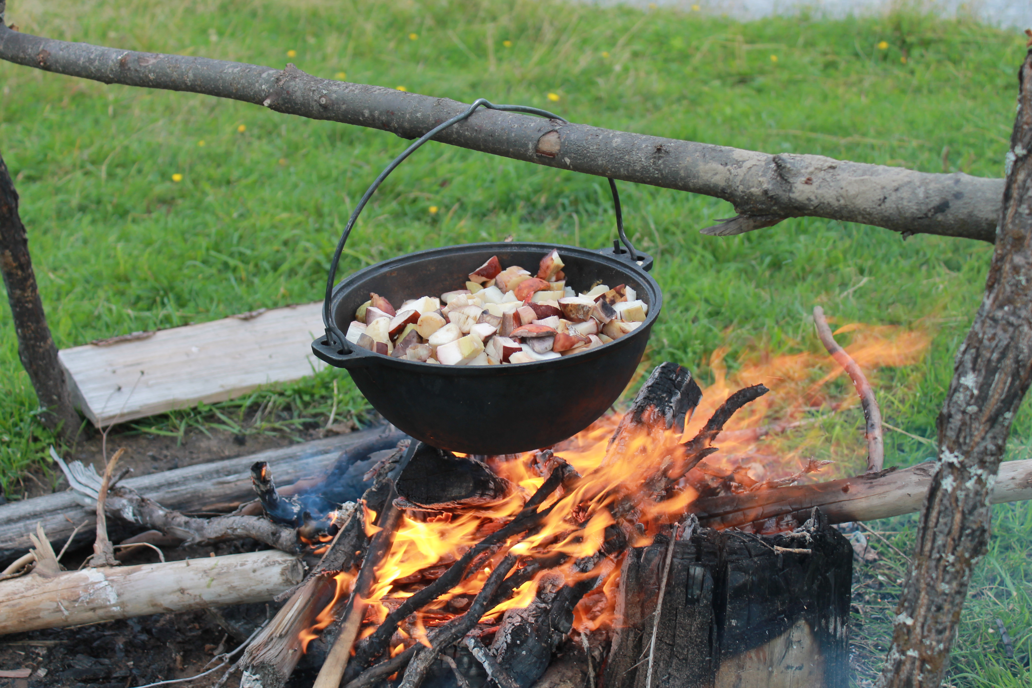 Комсомольская правда коми