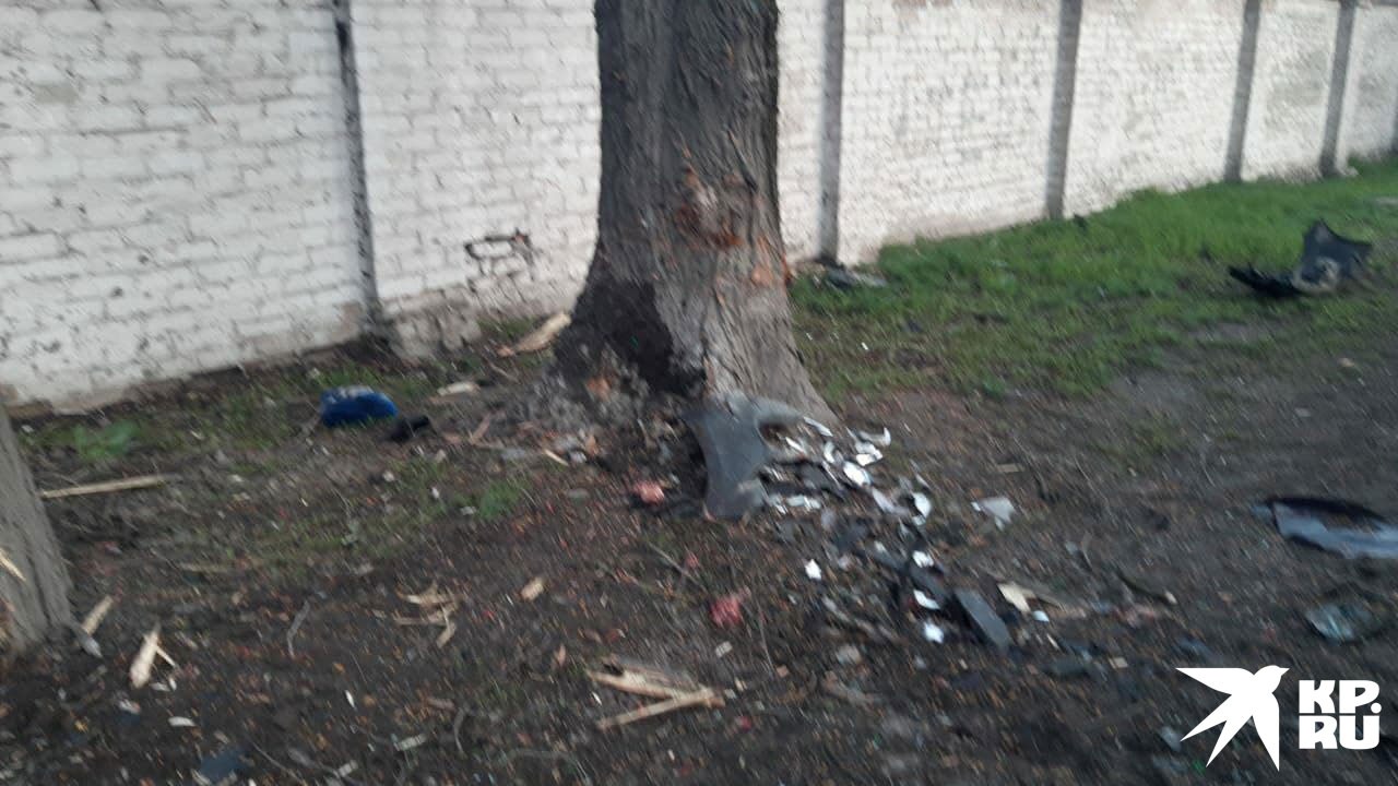 То самое дерево, к которому несут цветы.