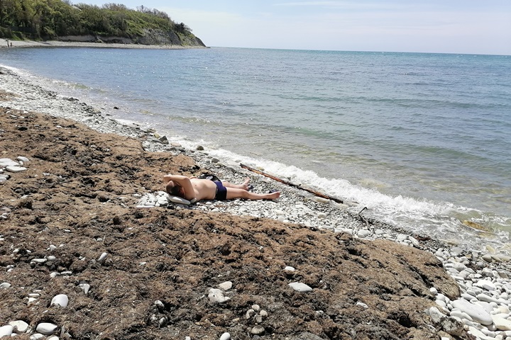 Туристы загорают и в куче водорослей