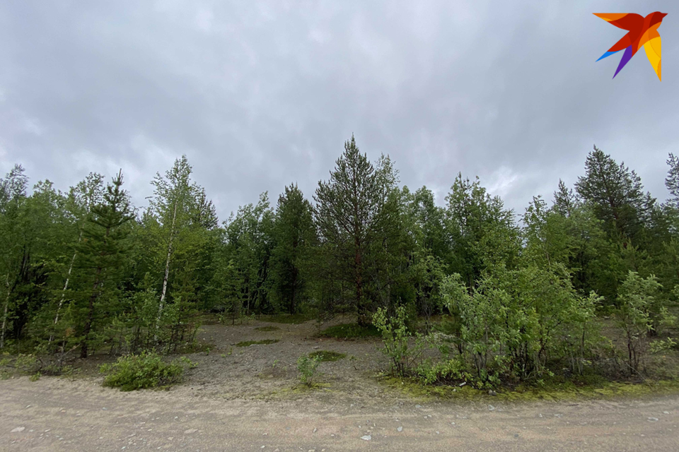 Это озеро занимает 14-место по площади в России.