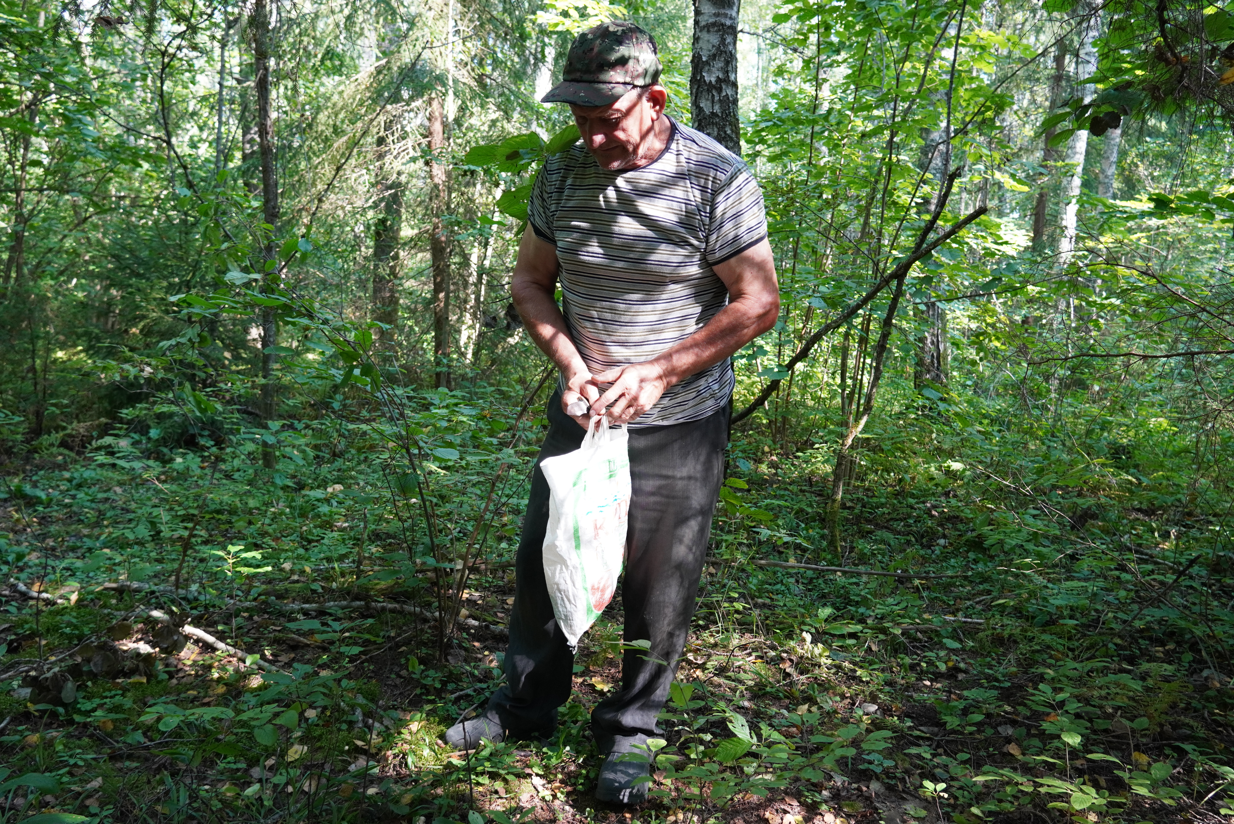 To je velmi těžká práce, musíte ujít 10-15 kilometrů, abyste nasbírali 10 kilo. A to není zábava, ne z dobrého života, ale jediný způsob přežití na vesnici. Dnes je to nutnost, i když dříve sbírali jen pro sebe.