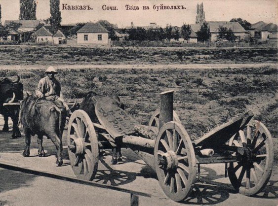 До 1917 года Сочи был таким. Фото:myekaterinodar.ru