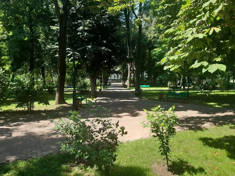 Это так называемая Липовая - Пушкинская - аллея в городском саду