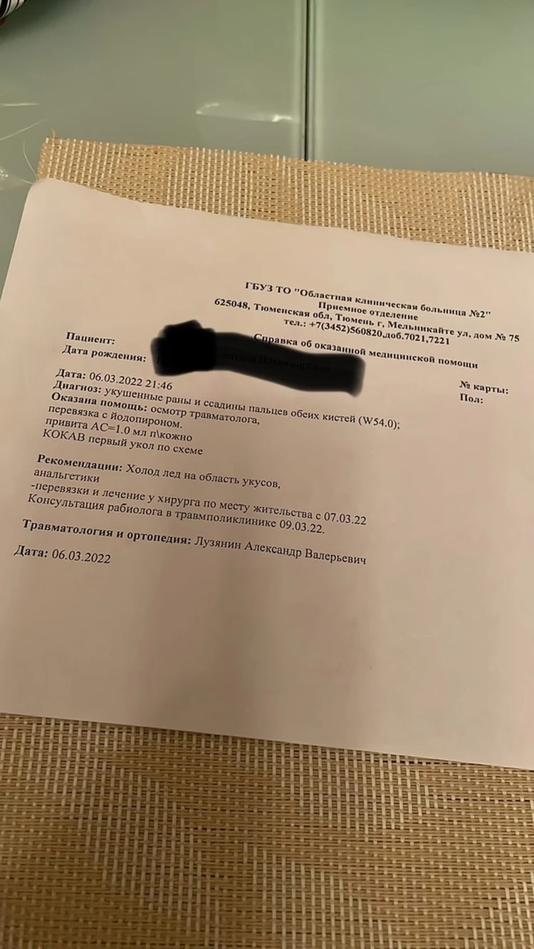 Вцепился зубами»: в Тюмени агрессивный пес покусал собаку и ее хозяйку во  время прогулки - KP.RU