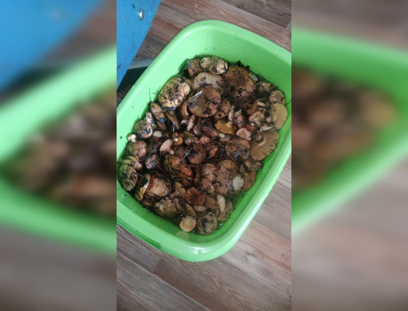 Foto: Dmitrij Nikolaich