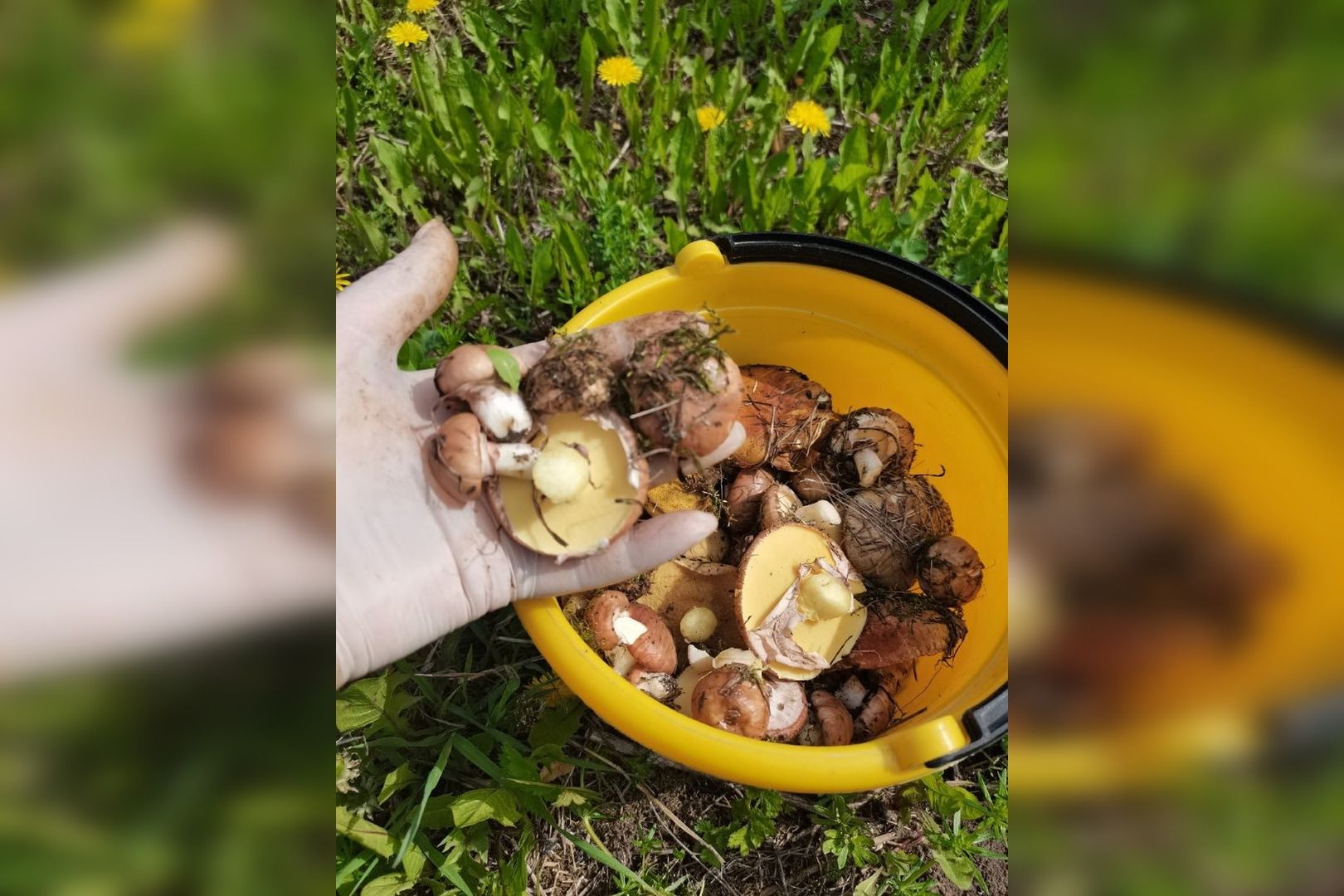 Foto: Elena Lakomkina