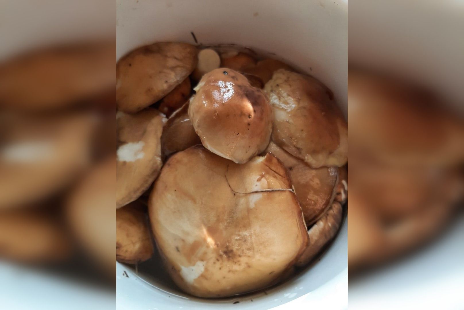 Foto: Elena Sitchikhina