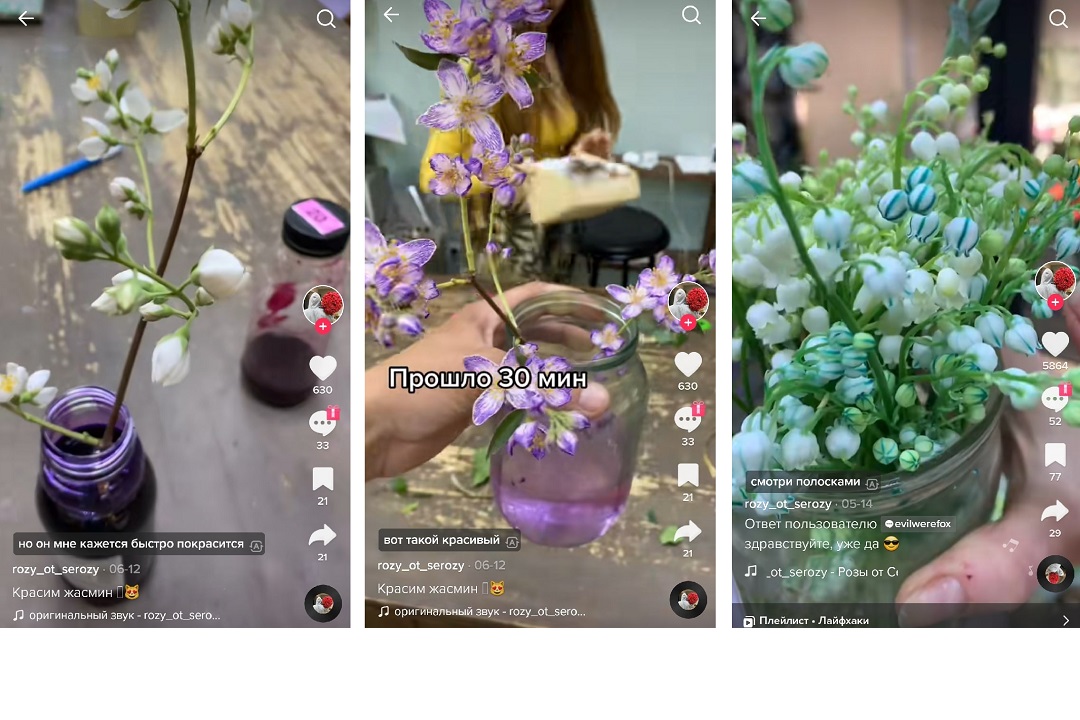 Jakékoli květiny mohou být natřeny speciálními barvivy. Foto: TikTok @rozy_ot_serozy