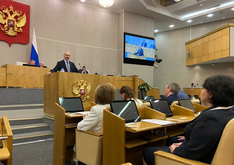 Парламентские слушания Госдумы, 27 июня 2022. Фото: ВолГУ