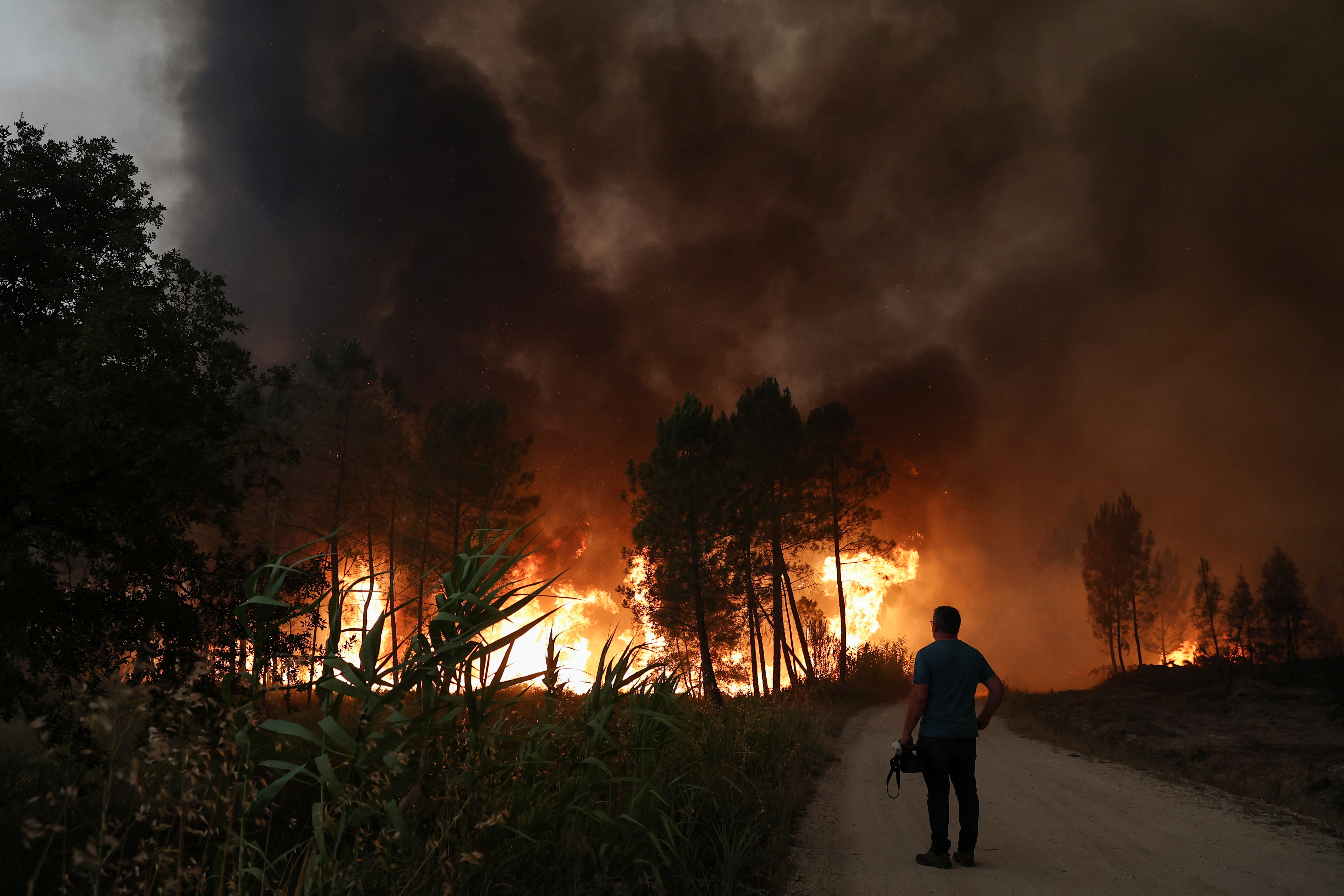 Лесные пожары. Лесные пожары в Португалии. Сильный пожар. Пожар в Испании. Жара сгорела
