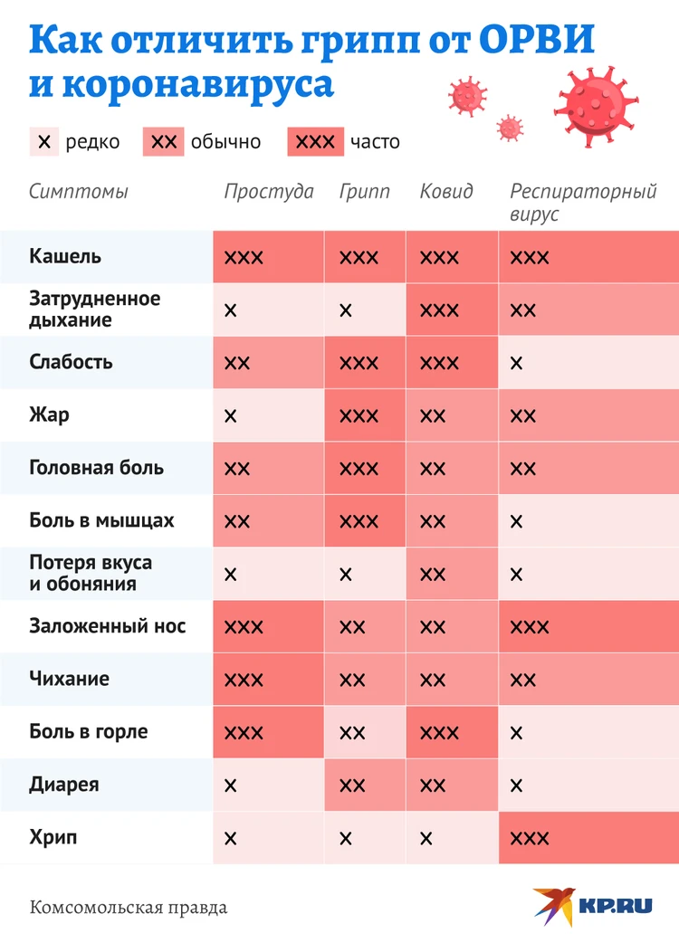 Как отличить коронавирус от гриппа и ОРВИ: опубликована простая таблица  симптомов - KP.RU