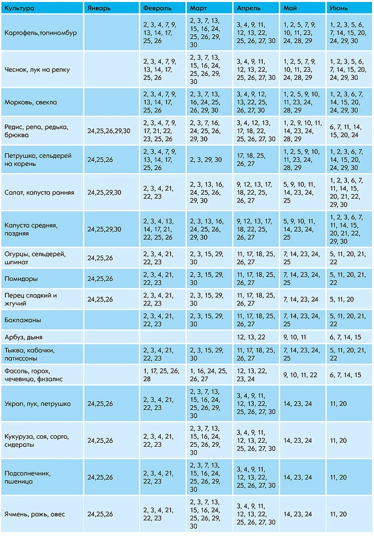 Лунный календарь - 2023: когда в Удмуртии садить рассаду и высаживать ее на  грядки - KP.RU