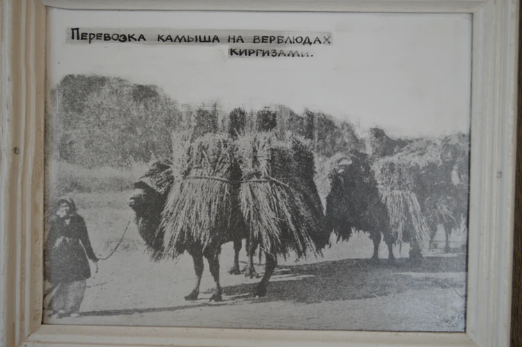 Почему на гербе Челябинска нарисован верблюд