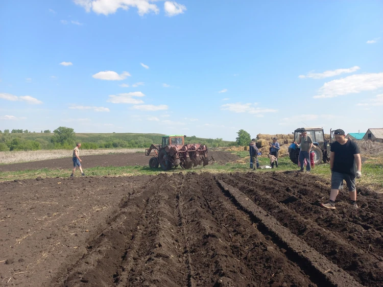 Огромное поле засади картофелем за 40 минут. Фото: Анастасия Константинова