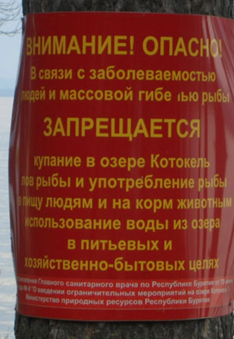 Почему в Бурятии болеет озеро Котокель, рыба из которого смертельно опасна?  - KP.RU