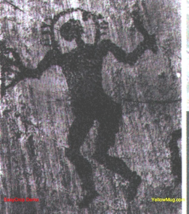 ������ ������ �������: ��� � ��� �������� �� ������ ������? - KP.RU