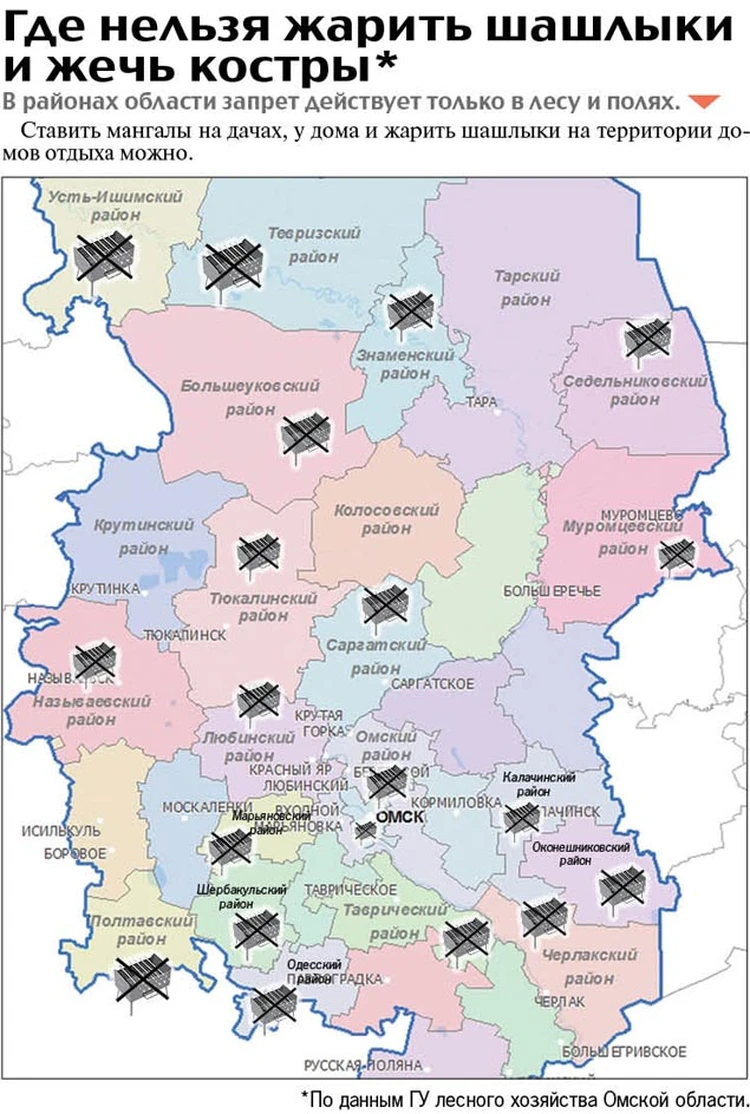 На праздники все мангалы в Омске попали под запрет - KP.RU