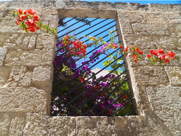 Менорка, пожалуй, самый зеленый остров Средиземноморья.