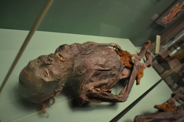 Фото: сайт web-kapiche.ru