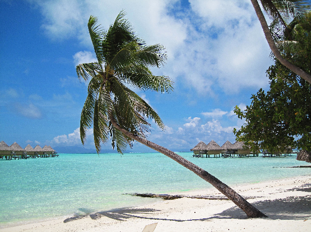 Бора-Бора, Французская Полинезия. Сказка, которую хочется сделать былью! Фото: TripAdvisor.