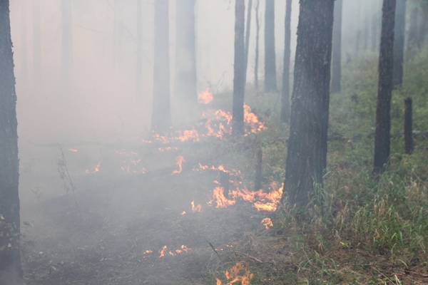 Огонь полыхает на побережье Байкала.