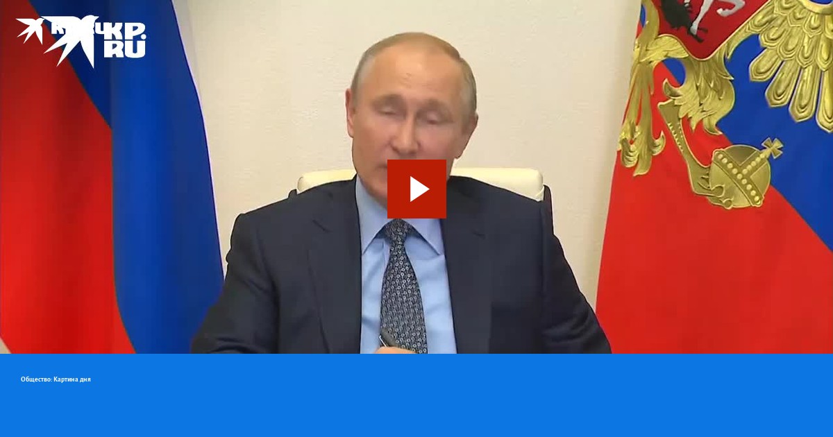 На зависть всем: Когда ты можешь прилечь во время совещания у Путина ...